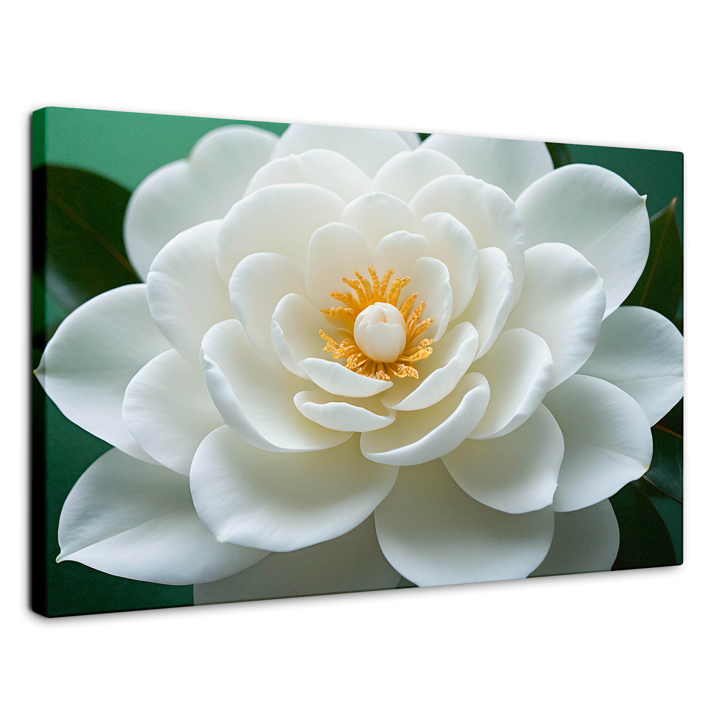 Cuadro Decorativo Canvas Camelia Eterna Flor 90x60