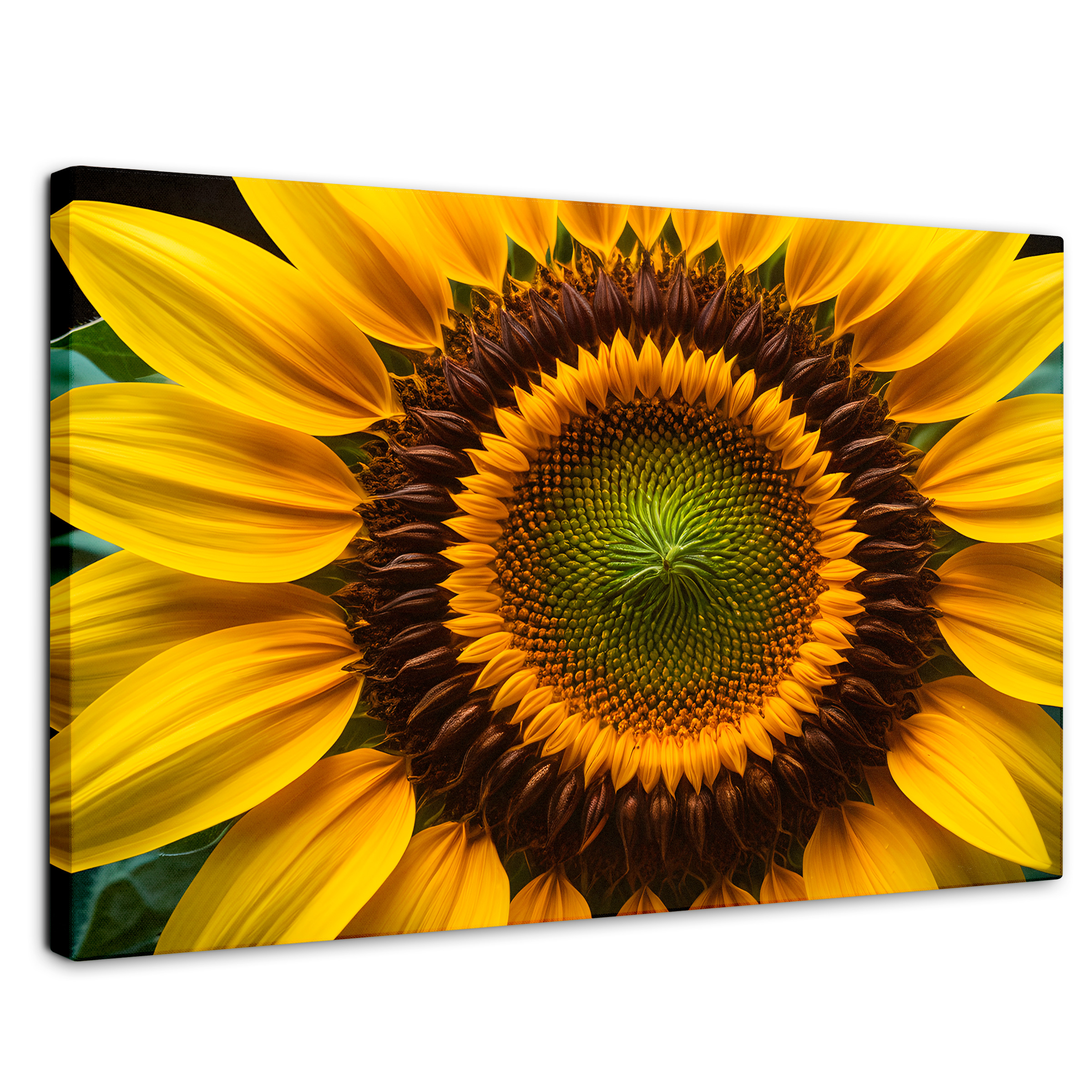 Cuadro Decorativo Canvas Girasol Cercano 90x60