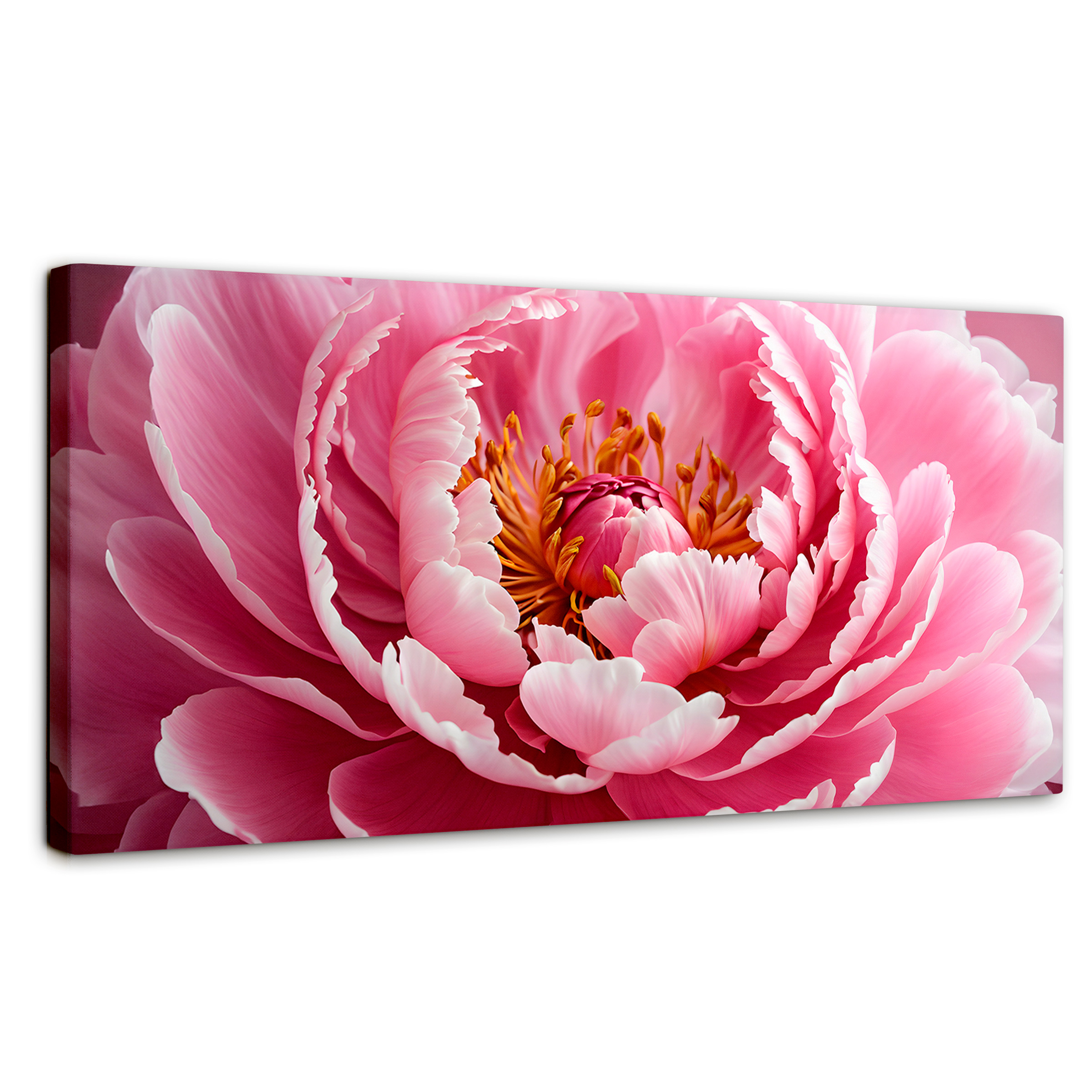 Cuadro Decorativo Canvas Peonía Rosa Abierta 120x60