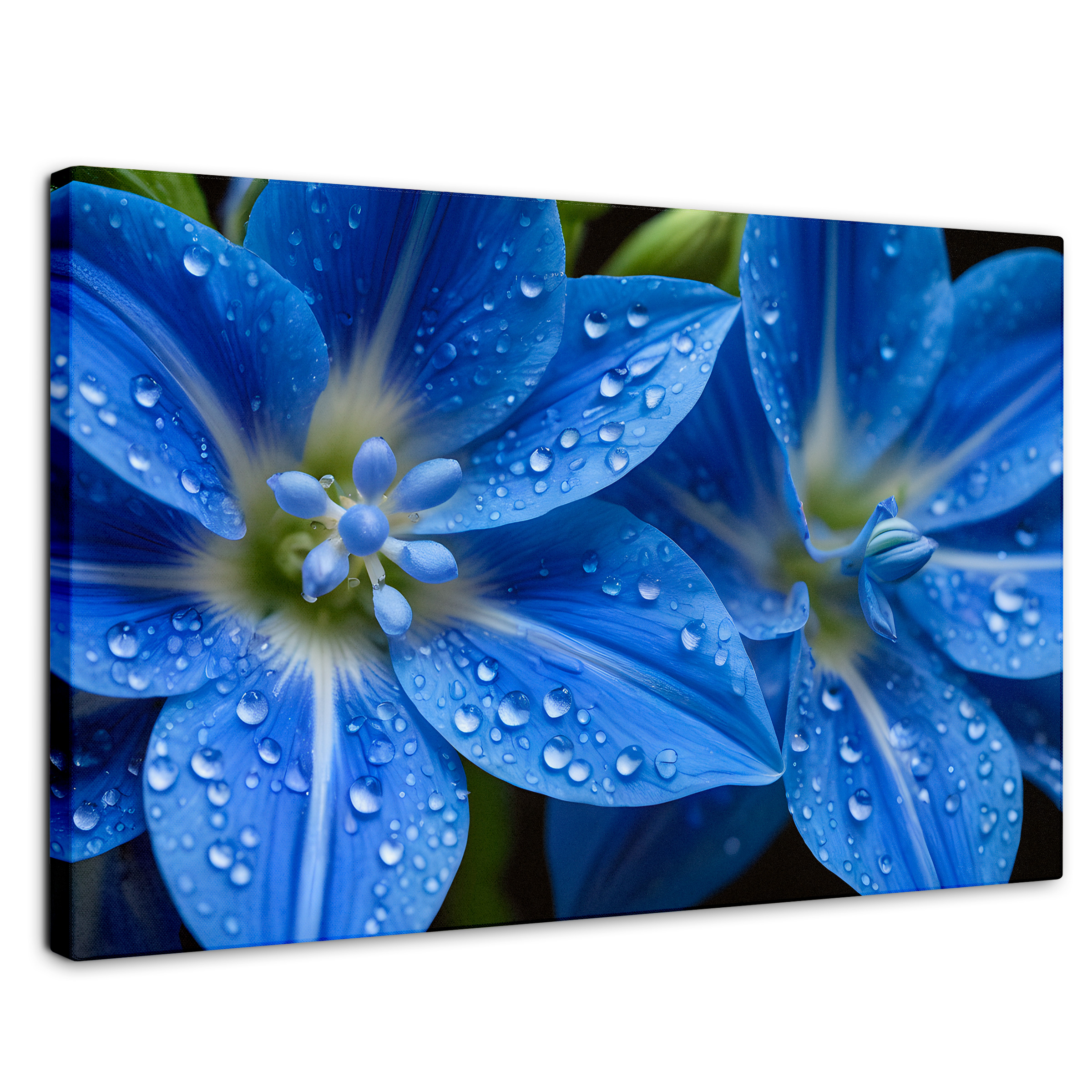 Cuadro Decorativo Canvas Delphinium Azul 90x60