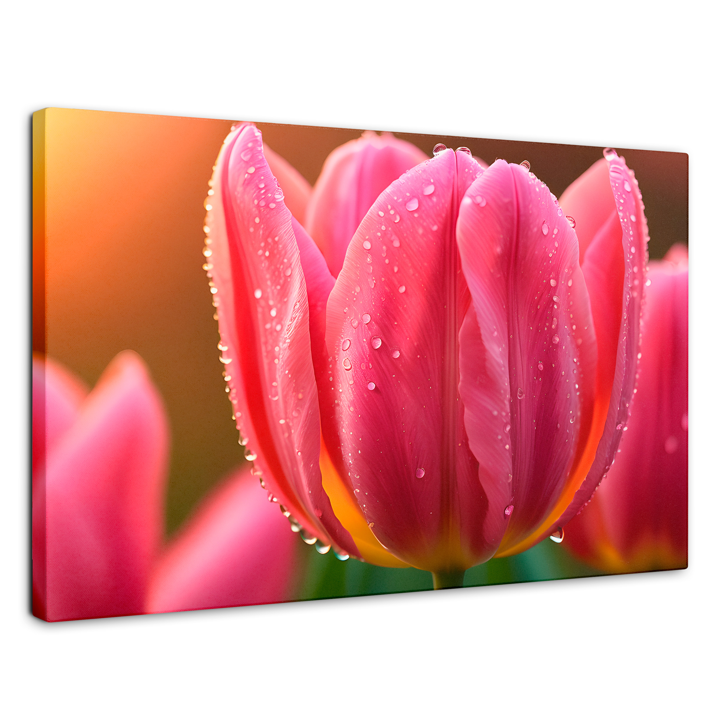 Cuadro Decorativo Canvas Tulipán Rosa Eterno 90x60