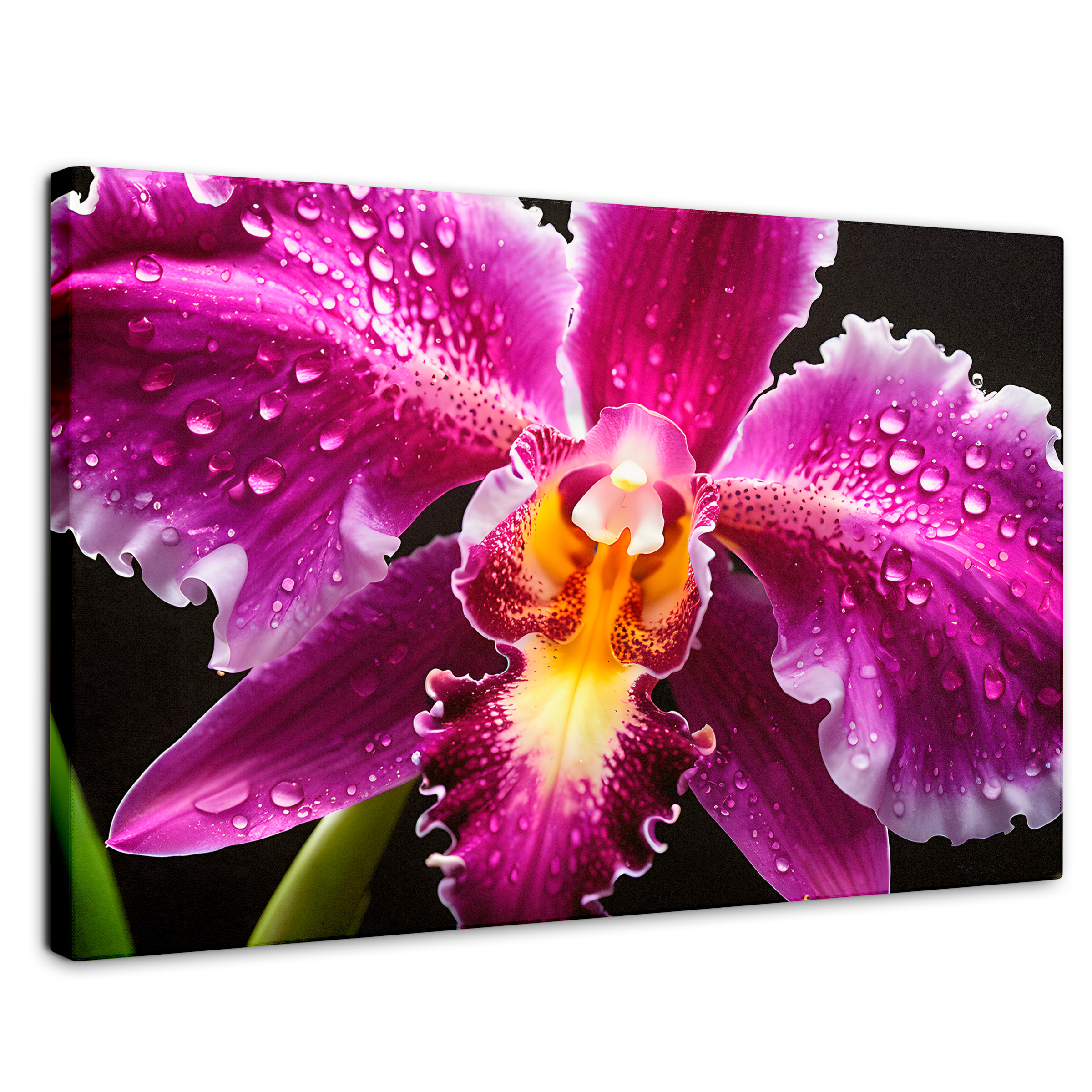 Cuadro Decorativo Canvas Brillo De Cattleya 90x60