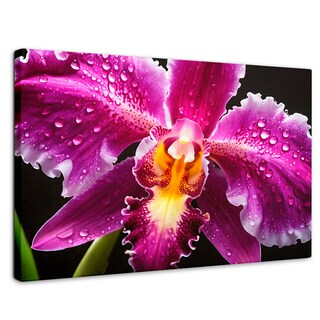 Foto 1 | Cuadro Decorativo Canvas Brillo De Cattleya 90x60