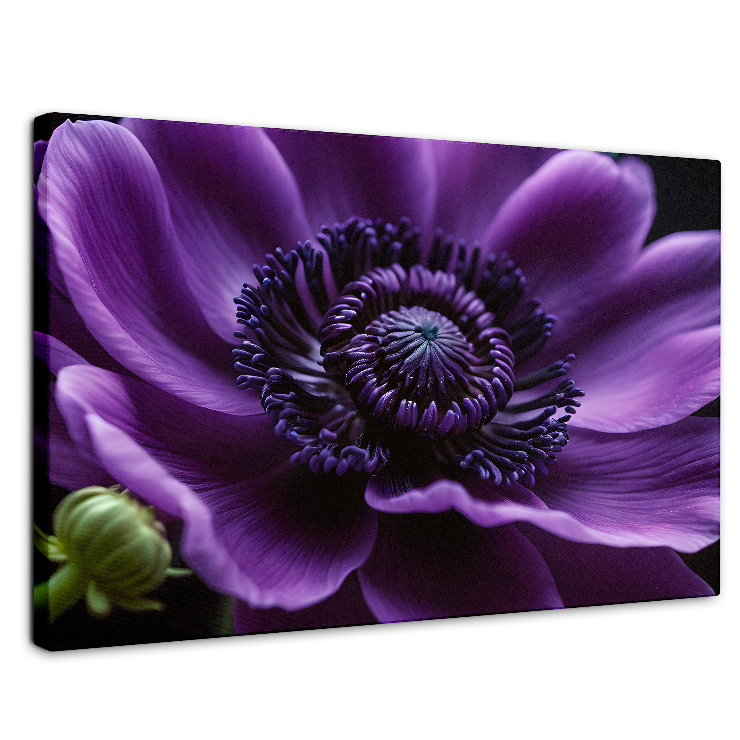 Cuadro Decorativo Canvas Anémona Violeta 90x60