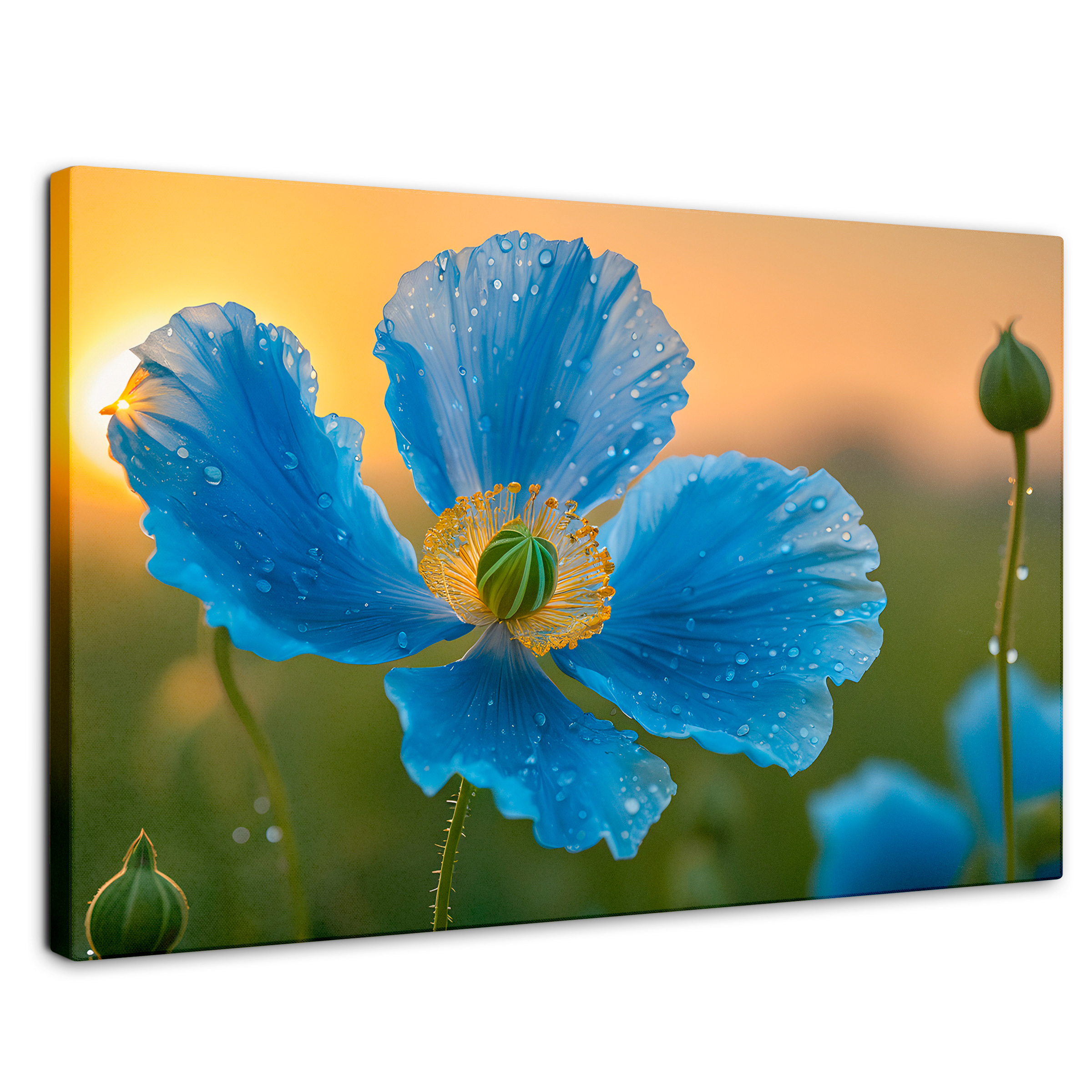 Cuadro Decorativo Canvas Sueño De Amapolas 90x60