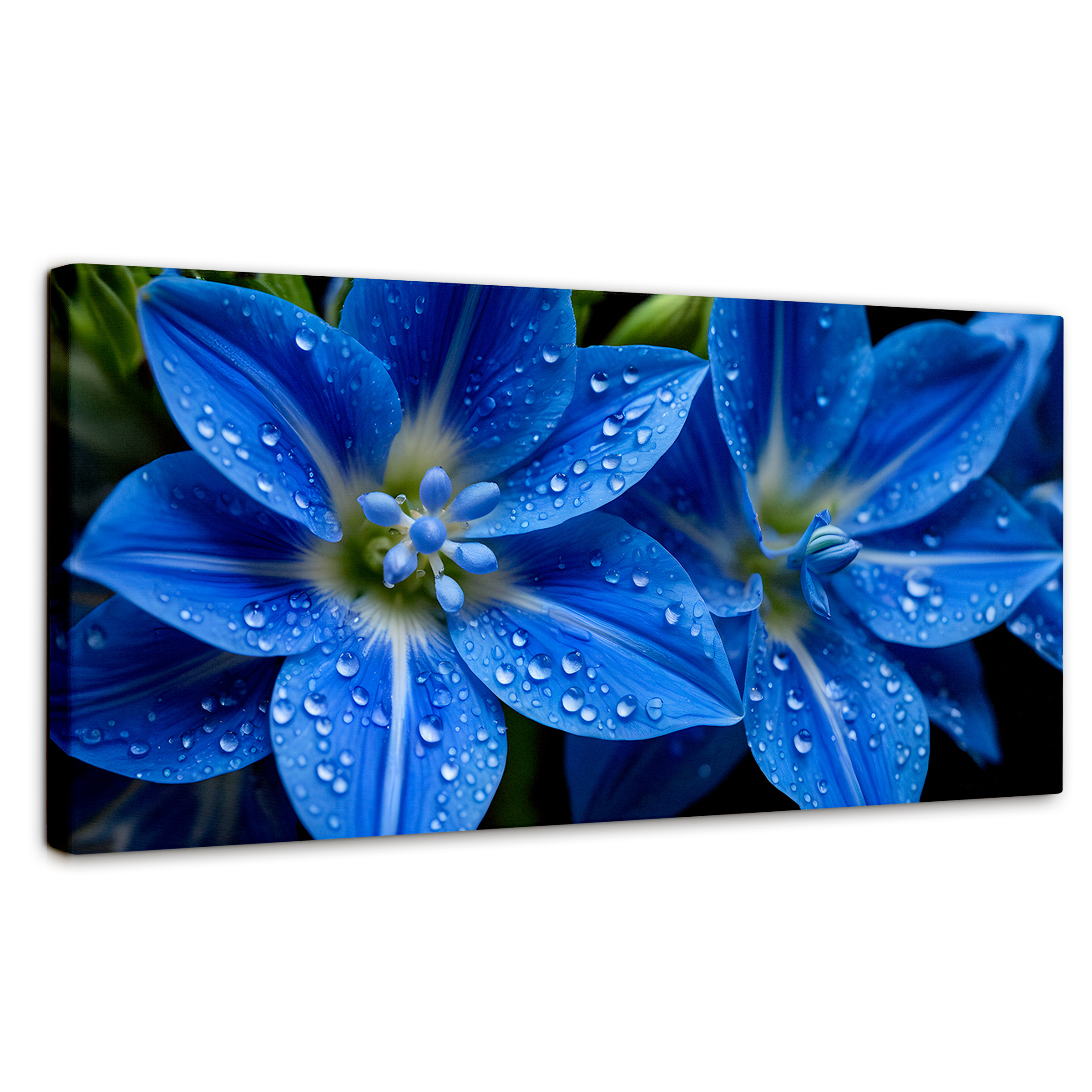 Cuadro Decorativo Canvas Delphinium Azul 120x60