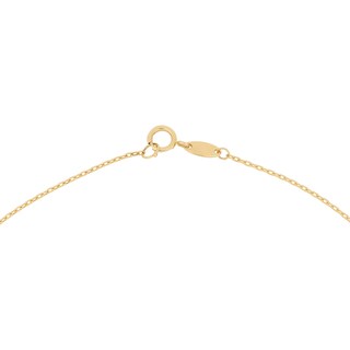 Foto 3 | Gargantilla Zekie 7152 Oro 10k Amarillo 45 Cms Con Dijes