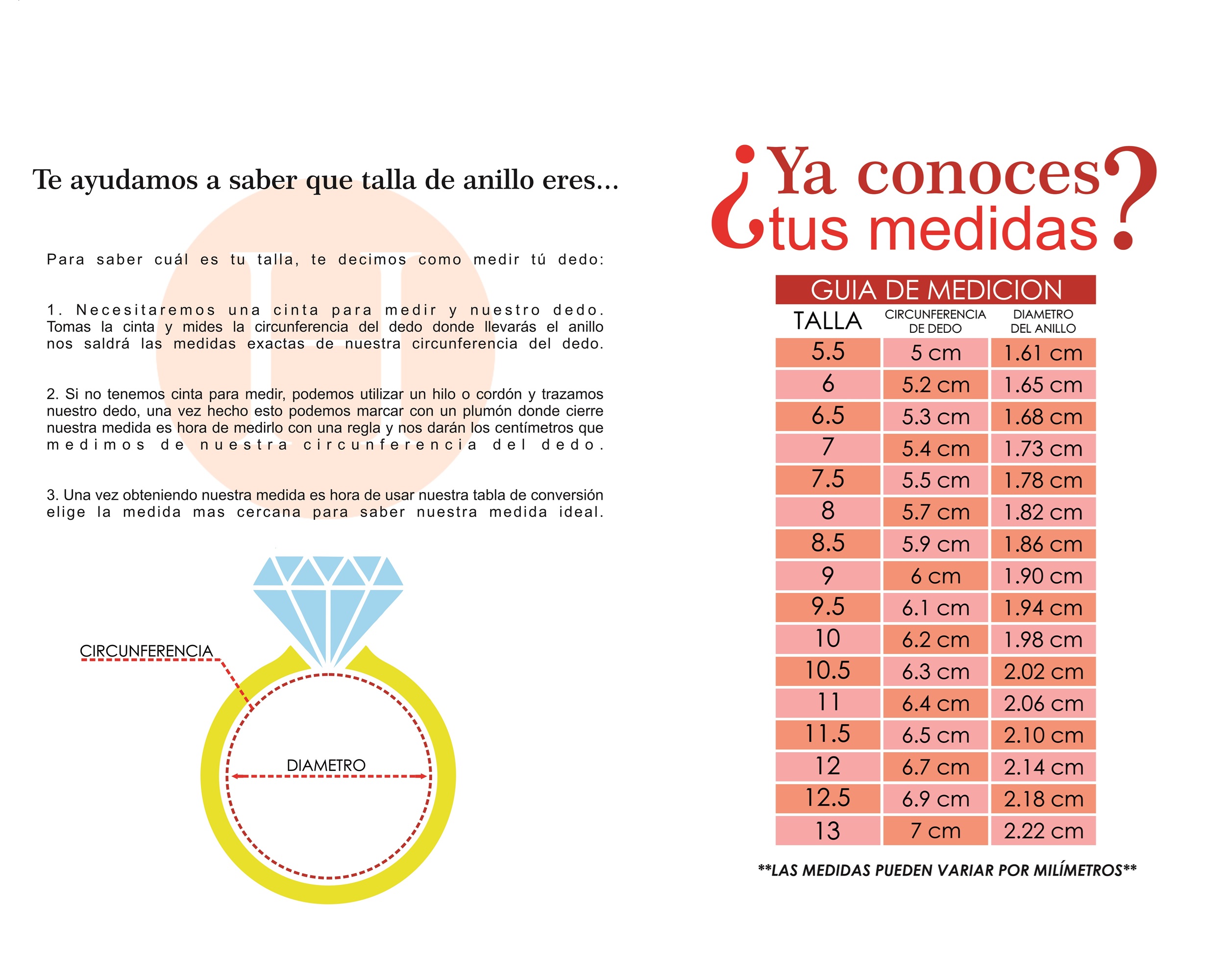 Foto 5 | Argolla de Plata 925 Horoz #5 con Circonias