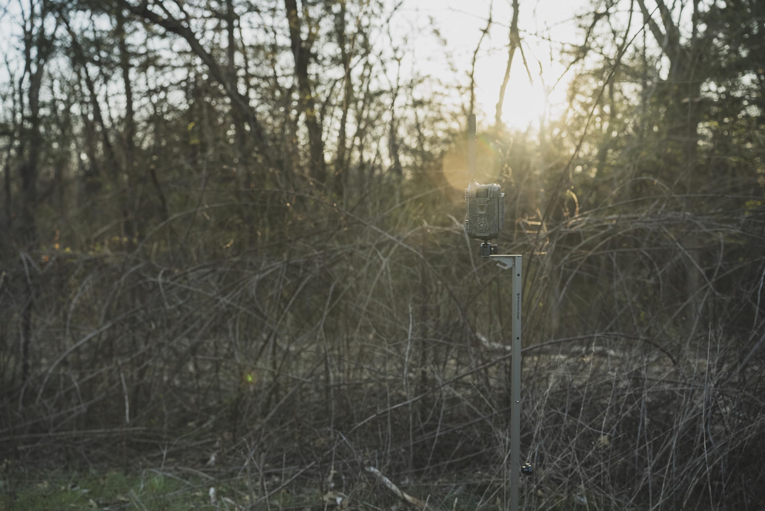 Foto 6 pulgar | Soporte De Cámara Hunting Trail Stealth Cam Ajustable - Venta Internacional.