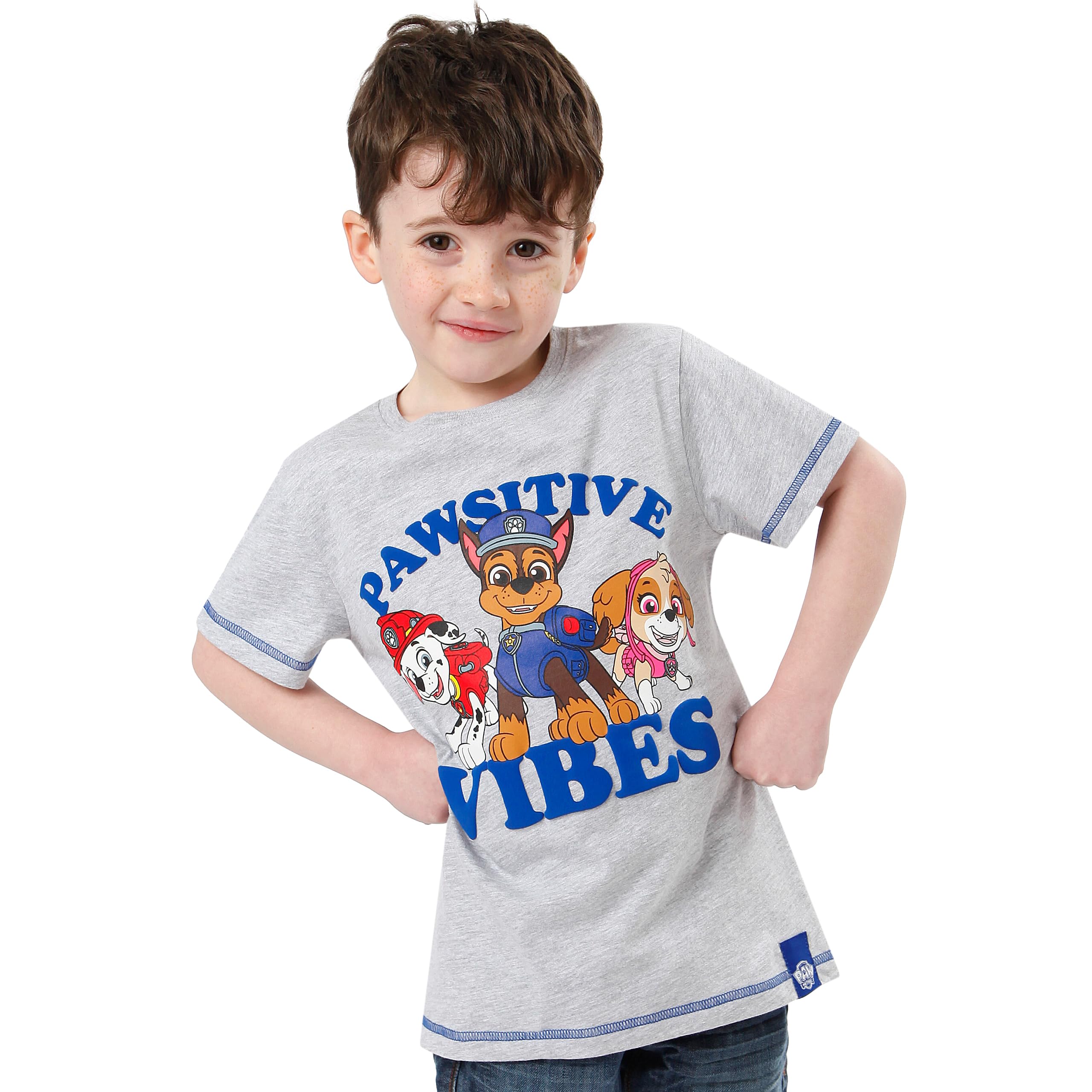 Foto 3 pulgar | Camiseta Paw Patrol Para Niños Color Gris Talla 4 - Venta Internacional