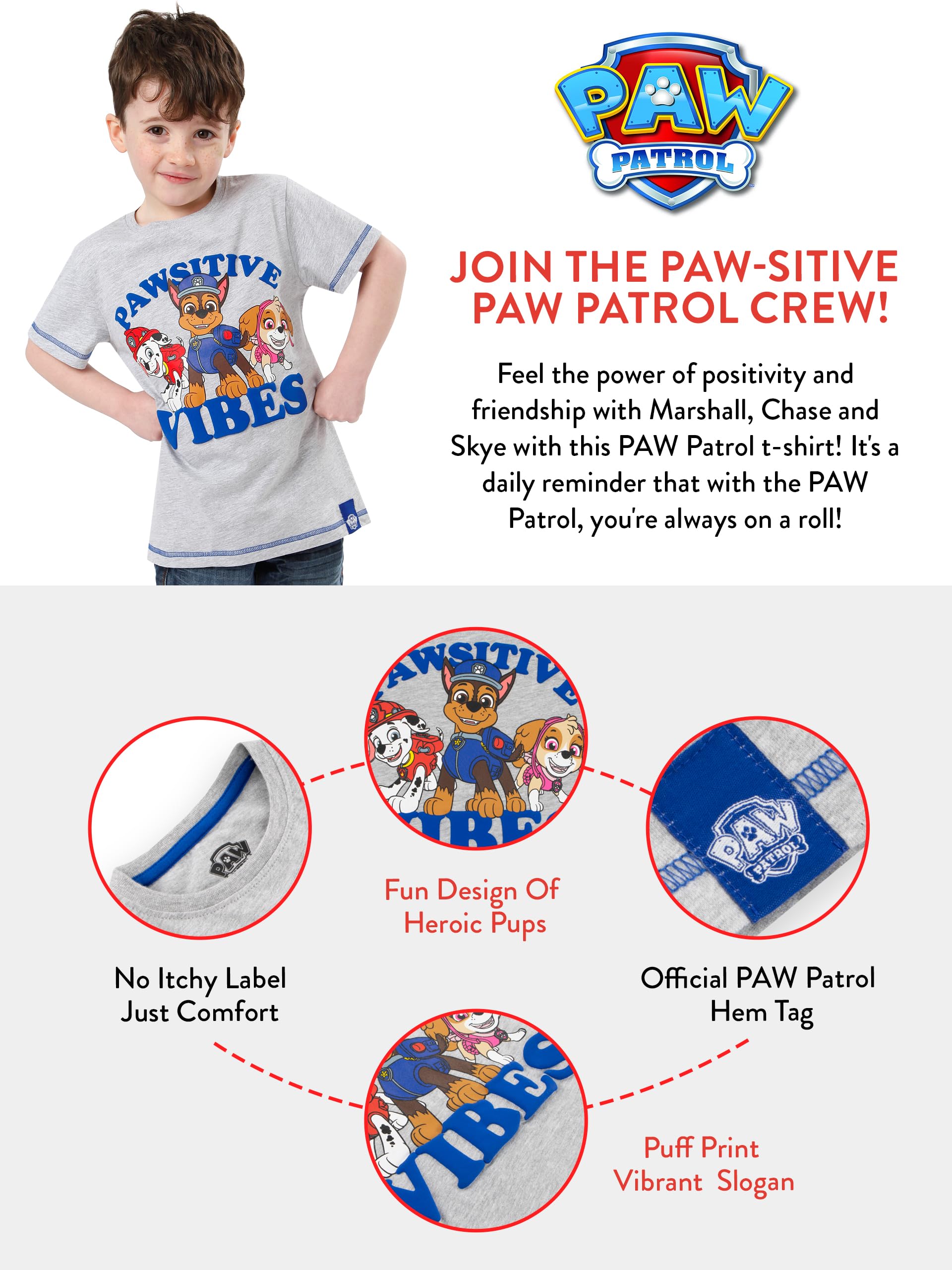 Foto 6 | Camiseta Paw Patrol Para Niños Color Gris Talla 4 - Venta Internacional