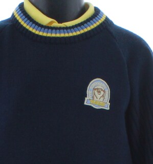 Foto 4 | Suéter Para Niño Chicos Olé 2963 Azul Marino Casual