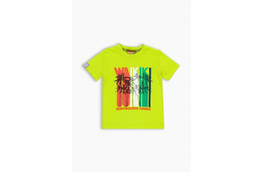 Playera Surfboards Hawaii Para Niño Boboli