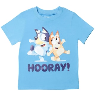 Foto 4 | Conjunto De Ropa Bluey Bingo Little Boys, Camiseta Y Pantalones Cortos De Malla - Venta Internacional.