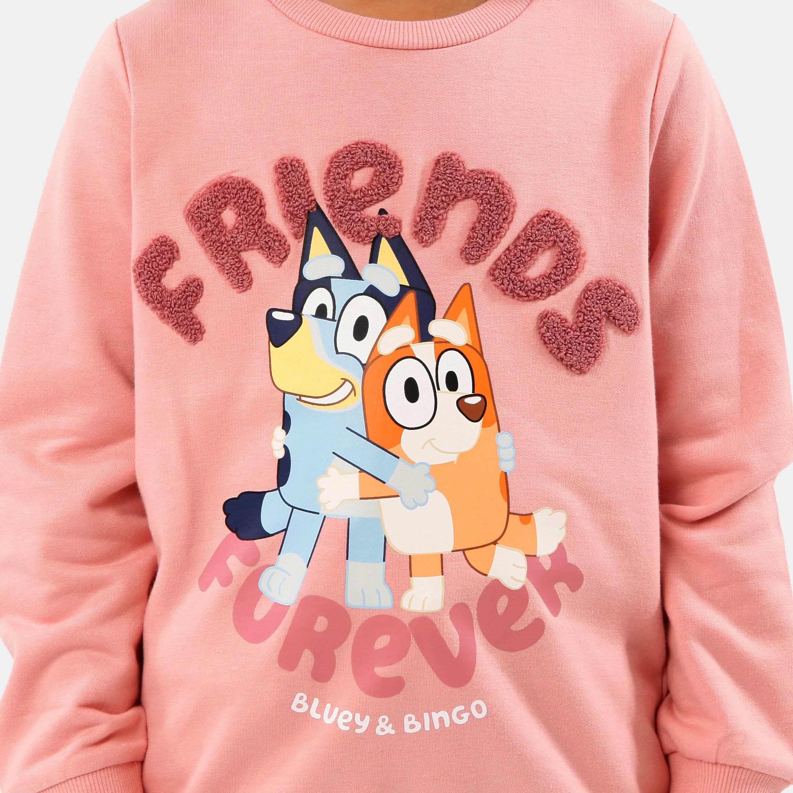 Foto 4 | Sudadera Bluey Girls Bingo Friends Forever Pink 2t - Venta Internacional.