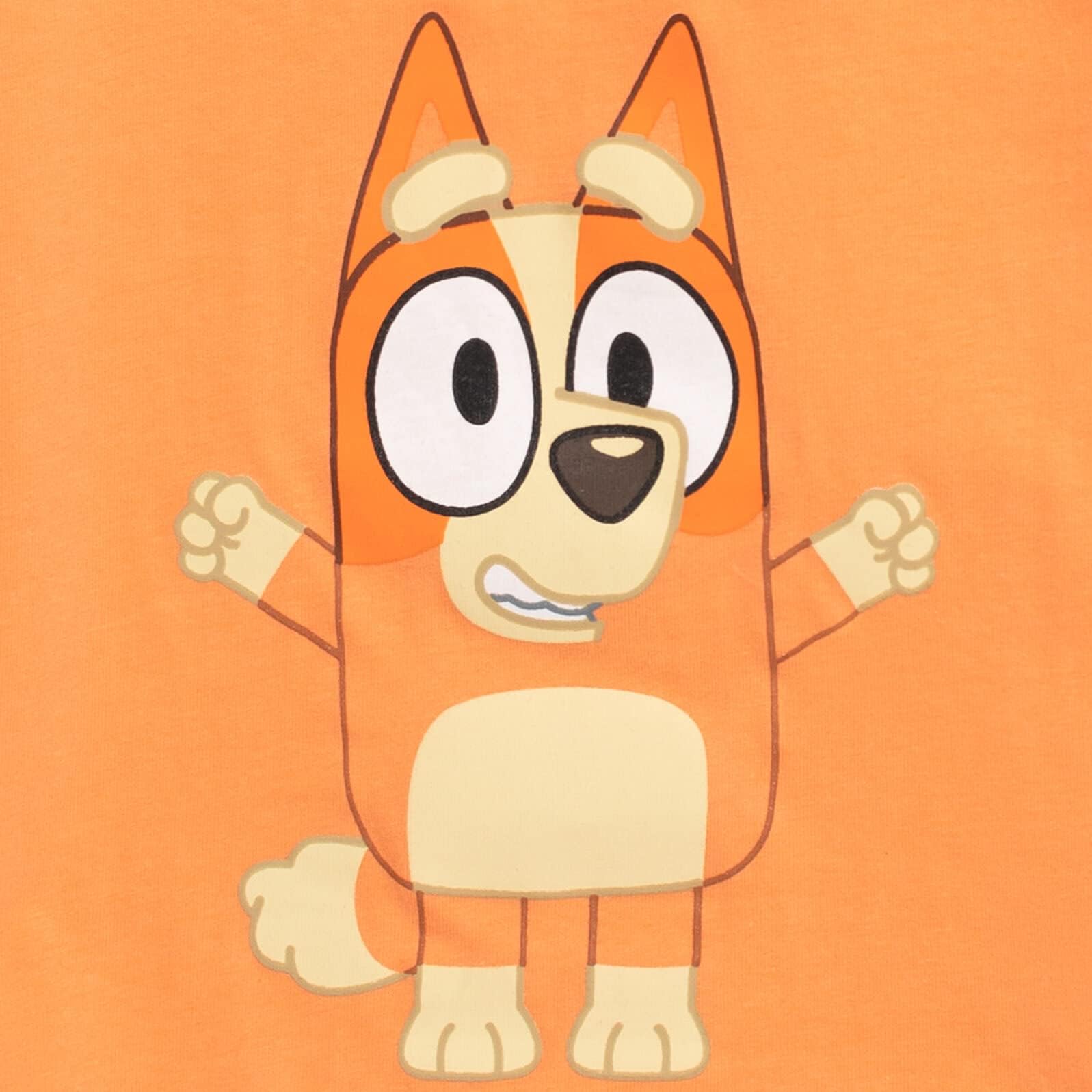 Foto 6 pulgar | Camiseta Bluey Bingo Con Estampado De Niños Pequeños De 6 Años, Azul - Venta Internacional.