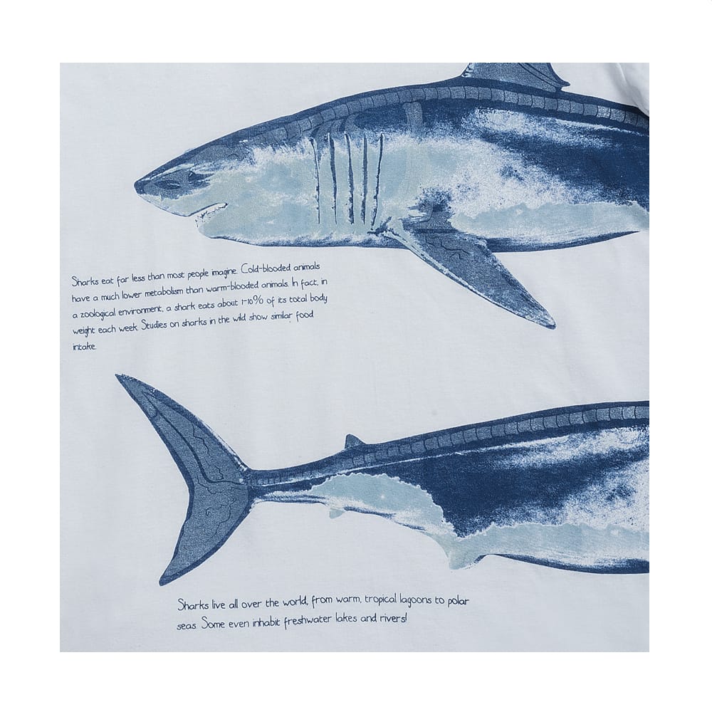 Foto 5 pulgar | Playera Audaz Para Niño De Algodón Blanco Con Ilustración De Tiburones