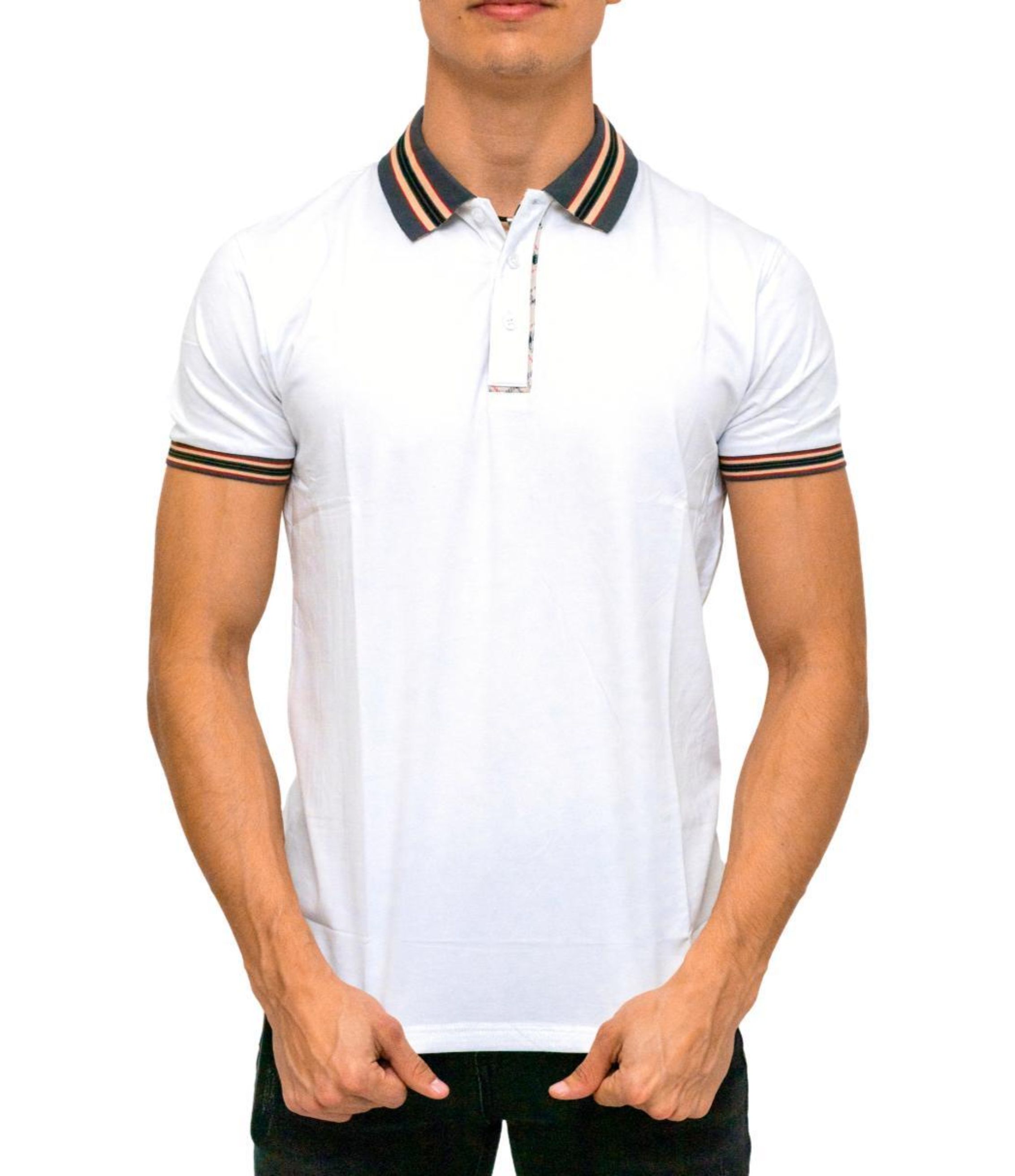 Foto 4 pulgar | Playera Polo Pavini PT-995-WHITE color Blanca para Hombre