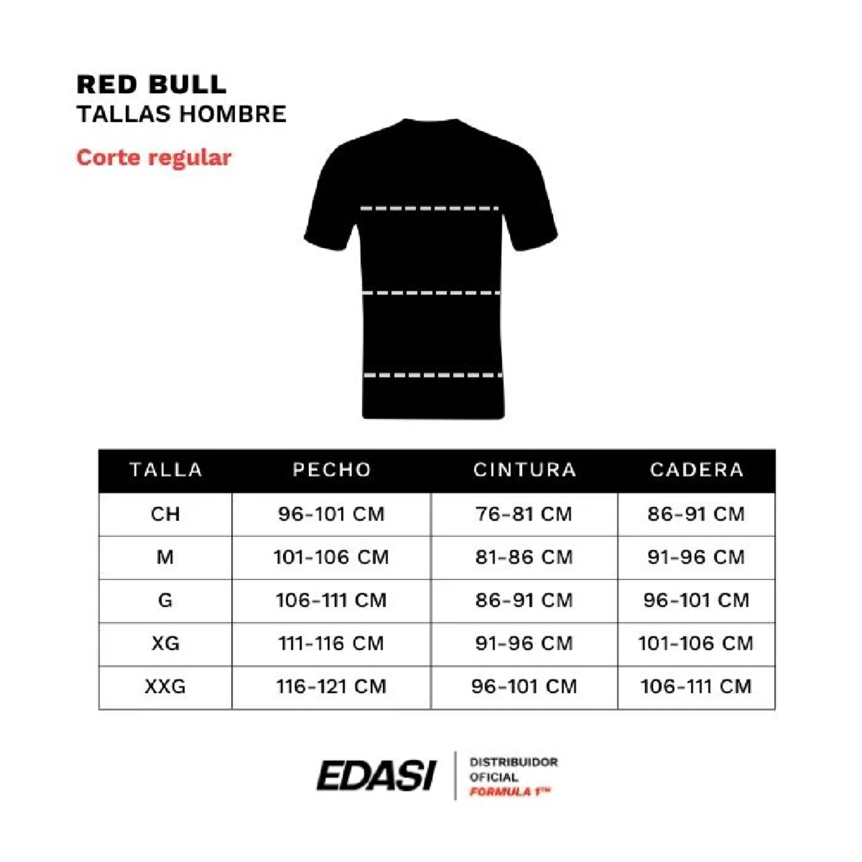 Foto 6 pulgar | Playera Polo Oficial Red Bull Racing Max Verstappen 2024 para Hombre