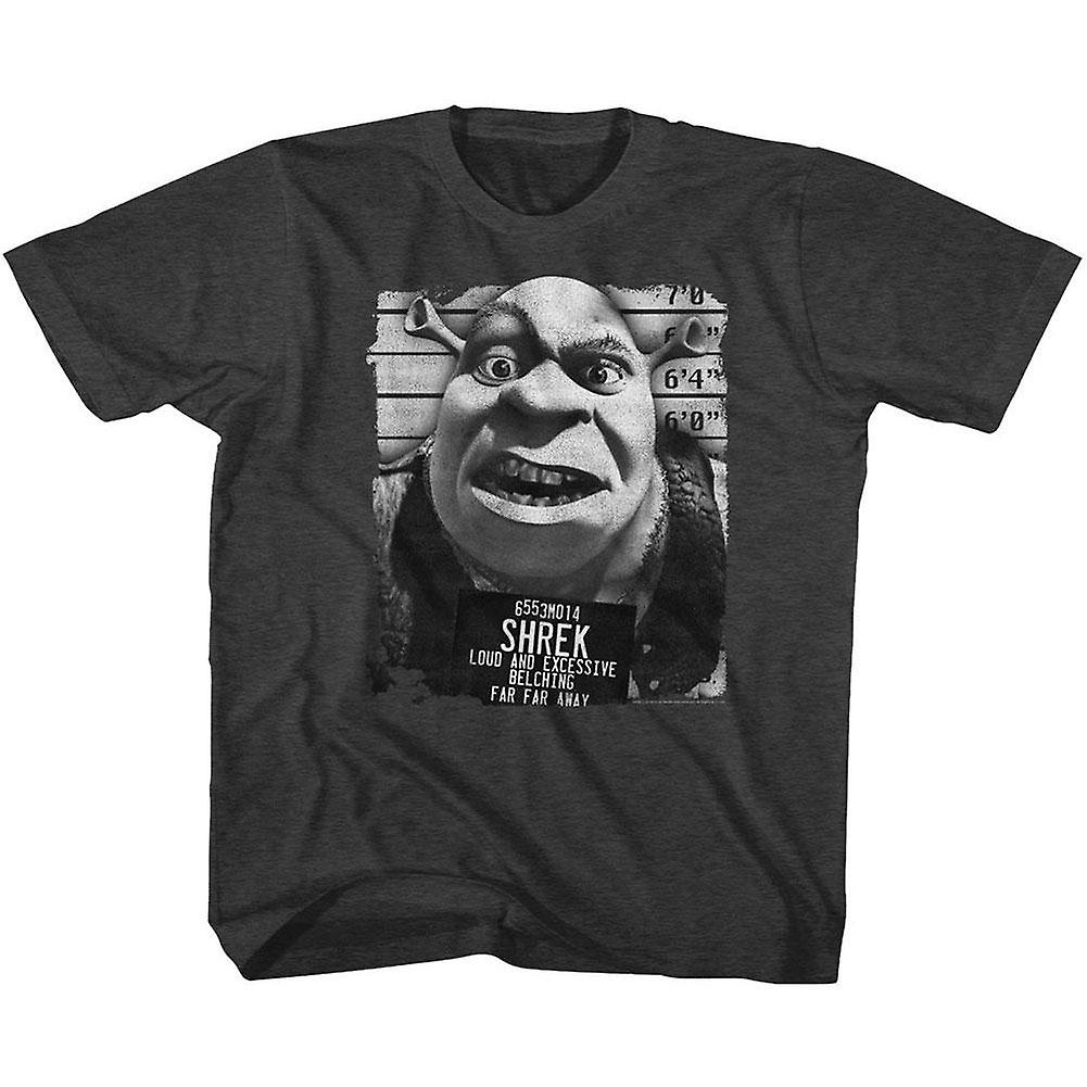 Camiseta Rockinstone Shrek Mugshot Para Jóvenes - Venta Internacional.