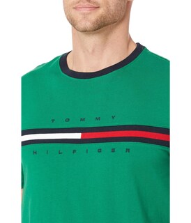 Foto 3 | Camiseta Tommy Hilfiger De Manga Corta Con Estampado De Rayas Exclusivas Para Hombre - Venta Internacional.