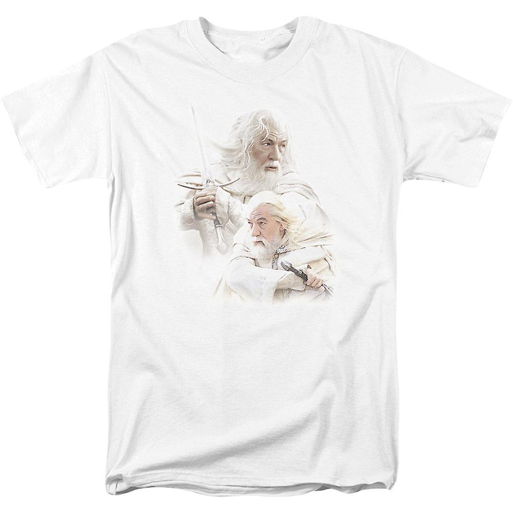 Camiseta Rockinstone Gandalf El Señor De Los Anillos 100% Algodón - Venta Internacional.