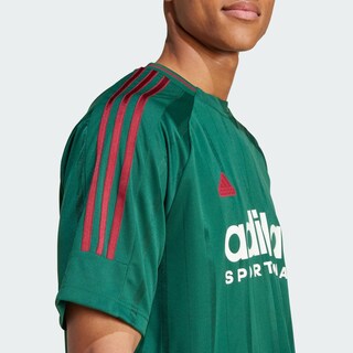 Foto 6 | Playera House Of Tiro Nations Pack Adidas Verde Hombre