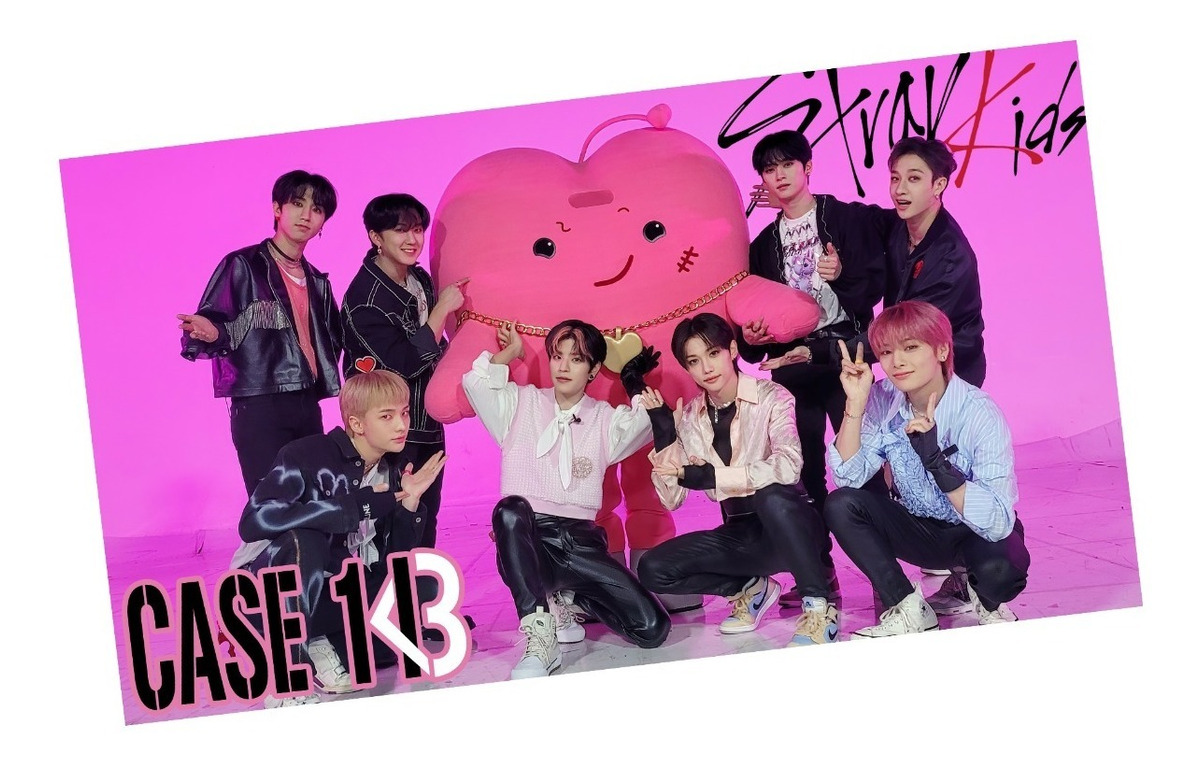 Foto 2 pulgar | Toalla de Baño NubiSuave Stay CASE 143 color Rosa Poliéster Stray Kids Microfibra Diseño Kpop Maxident