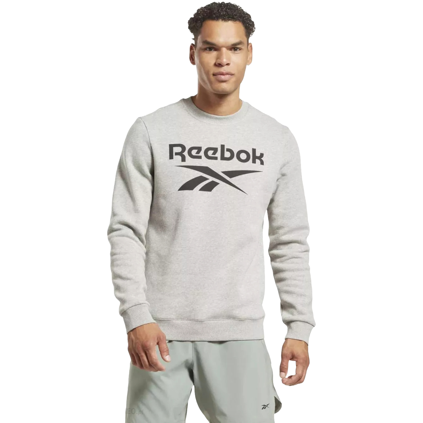 Foto 3 pulgar | Sudadera Reebok Ri Flc Big Logo Crew color Gris Modelo H54793 para Hombre