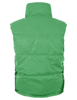 Foto 6 | Chaleco Corto Brilloso Mujer Verde Roosevelt A229