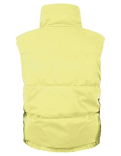 Foto 6 | Chaleco Corto Brilloso Mujer Amarillo Roosevelt A229