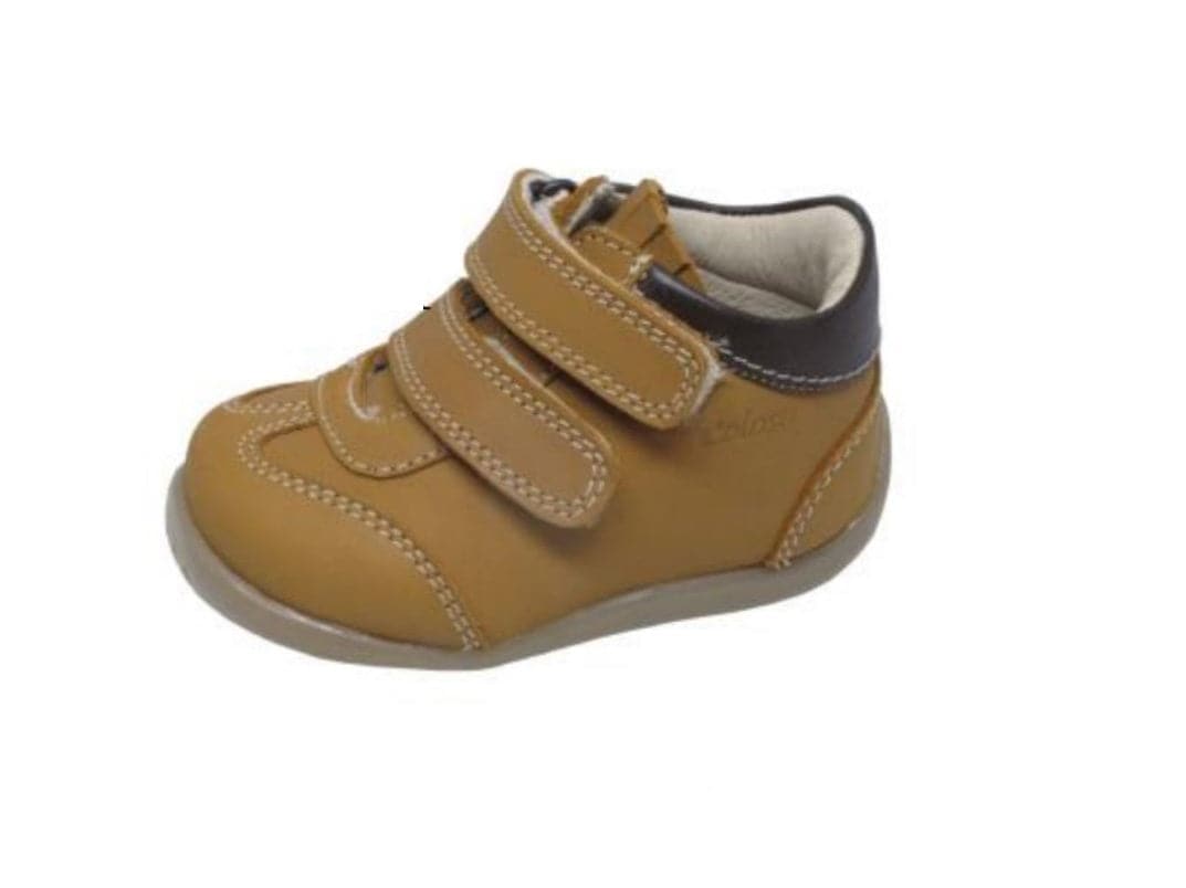Coloso 8772-01 Color: Miel $499