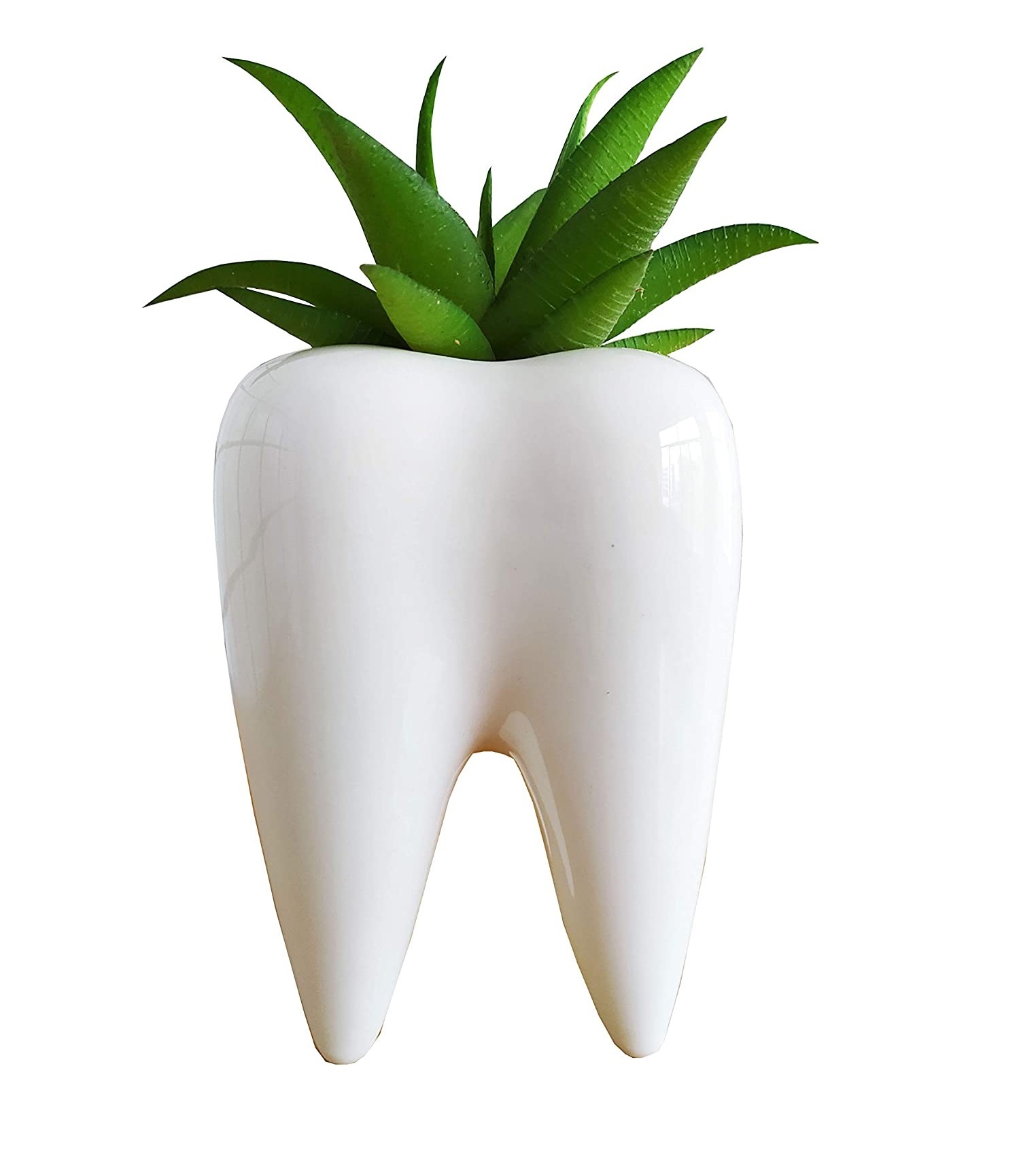 Foto 2 | Maceta de Cerámica HappyWare Forma de Muela color Blanco