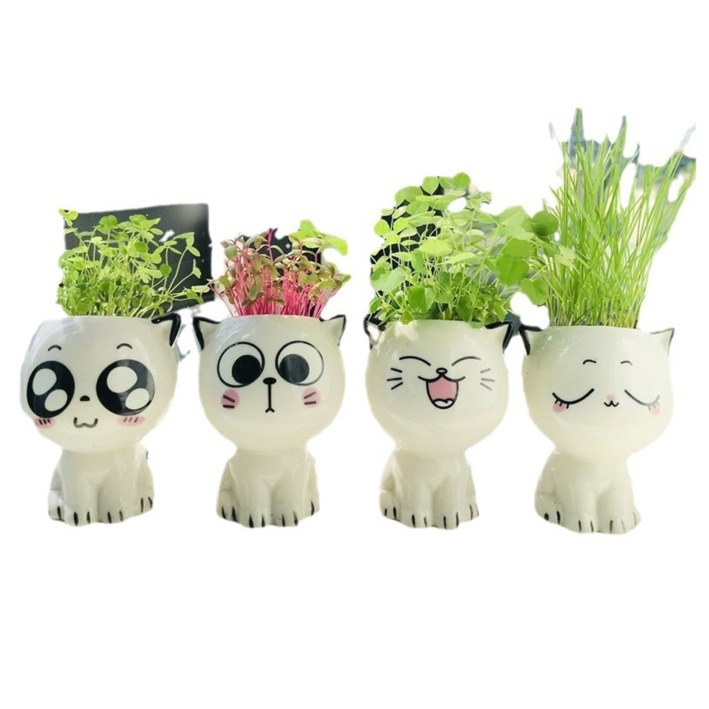 Set 4 Macetas Gato De Dibujos Animados De Cerámica Para Oficina, Pequeña Planta Verde