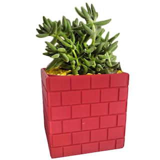 Foto 3 | Maceta Decorativa Para Escritorio3d Art Mxyfb-002 2 Piezas Rojo