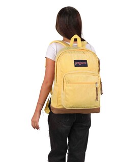Foto 6 | Mochila JanSport Right Pack Expressions Sun Shimmer Corduroy - Venta Internacional