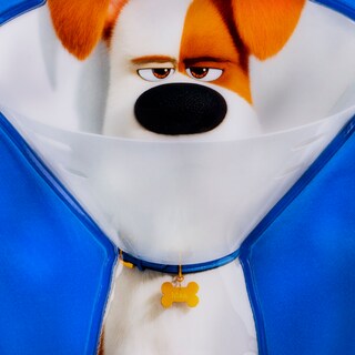 Foto 7 | Mochila Kinder Max El Mundo Screto De Tus Mascotas