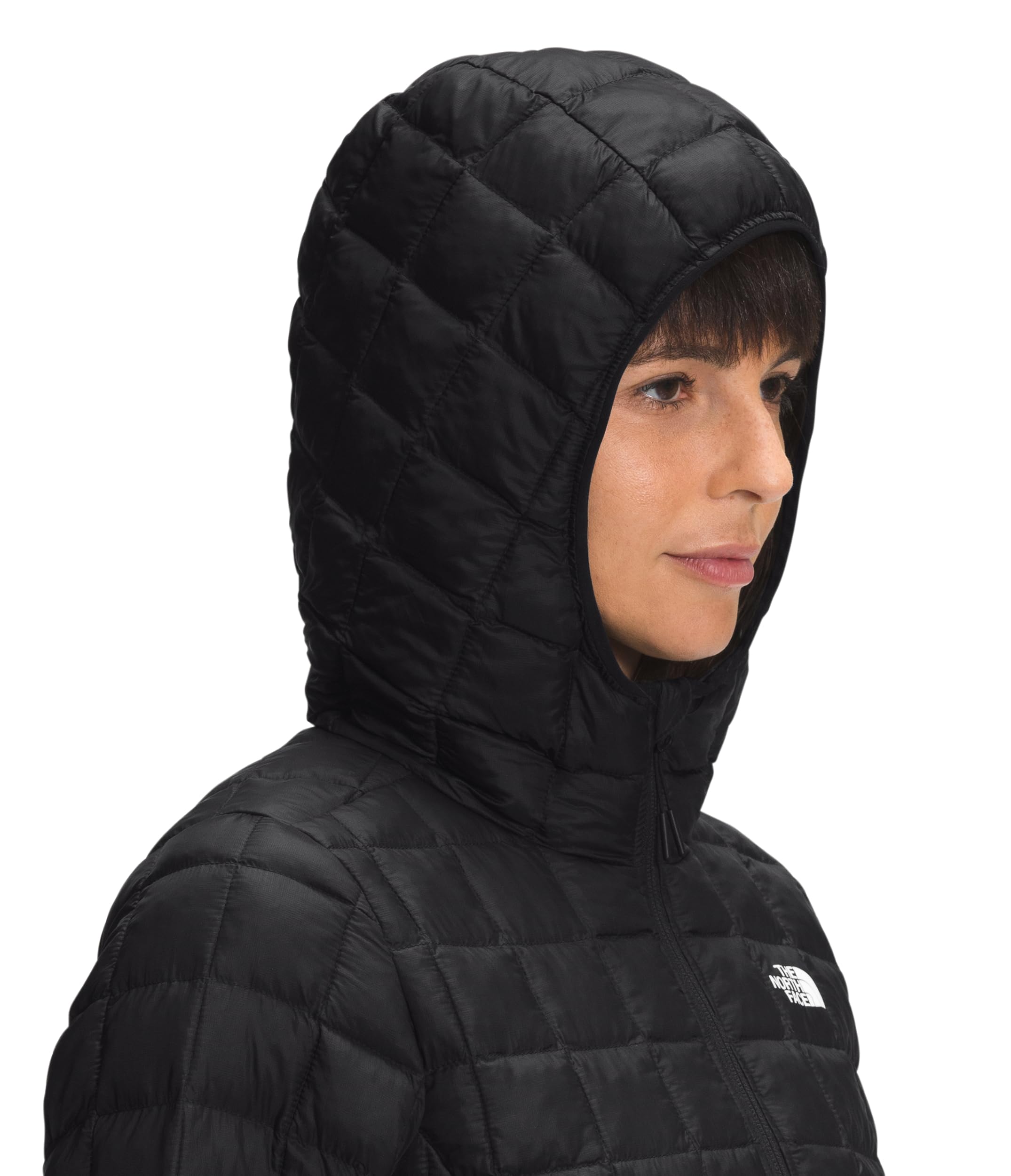 Foto 5 pulgar | Chaqueta Parka The North Face Thermoball™ Eco Para Mujer, Talla Grande - Venta Internacional.