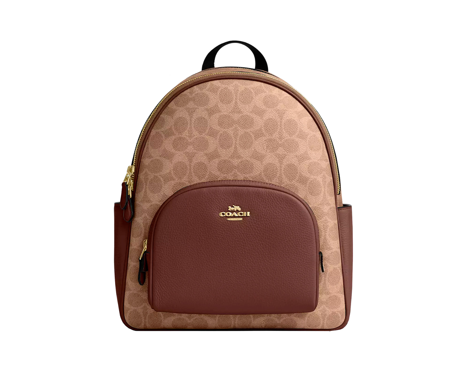 Foto 2 pulgar | Mochila Court Backpack Signature Canvas Cz176 Color Café
