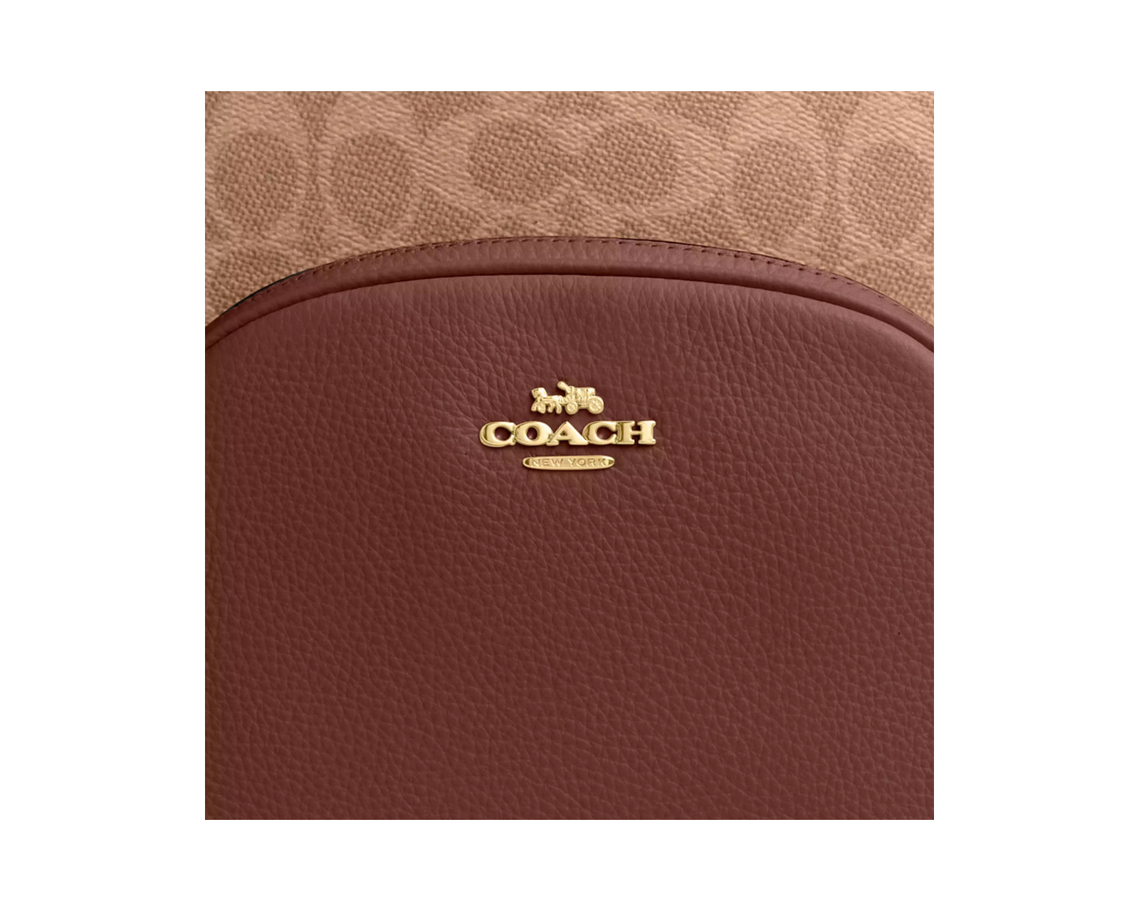 Foto 5 pulgar | Mochila Court Backpack Signature Canvas Cz176 Color Café