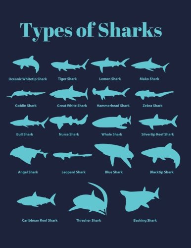 Foto 2 pulgar | Tipos De Tiburones: Shark Notebook (cuaderno De Composición) (tamaño 8,5 X 11 Cm) - Venta Internacional.