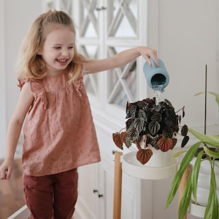 Foto 7 | Regadera De Silicona Mushie, Bañera De Silicona, Juegos Al Aire Libre Para Niños Pequeños - Venta Internacional.