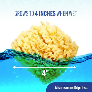 Foto 4 | Baño Sea Sponge Baby Buddy De Color Amarillo Natural Para Recién Nacidos, Paquete De 1 Unidad - Venta Internacional.