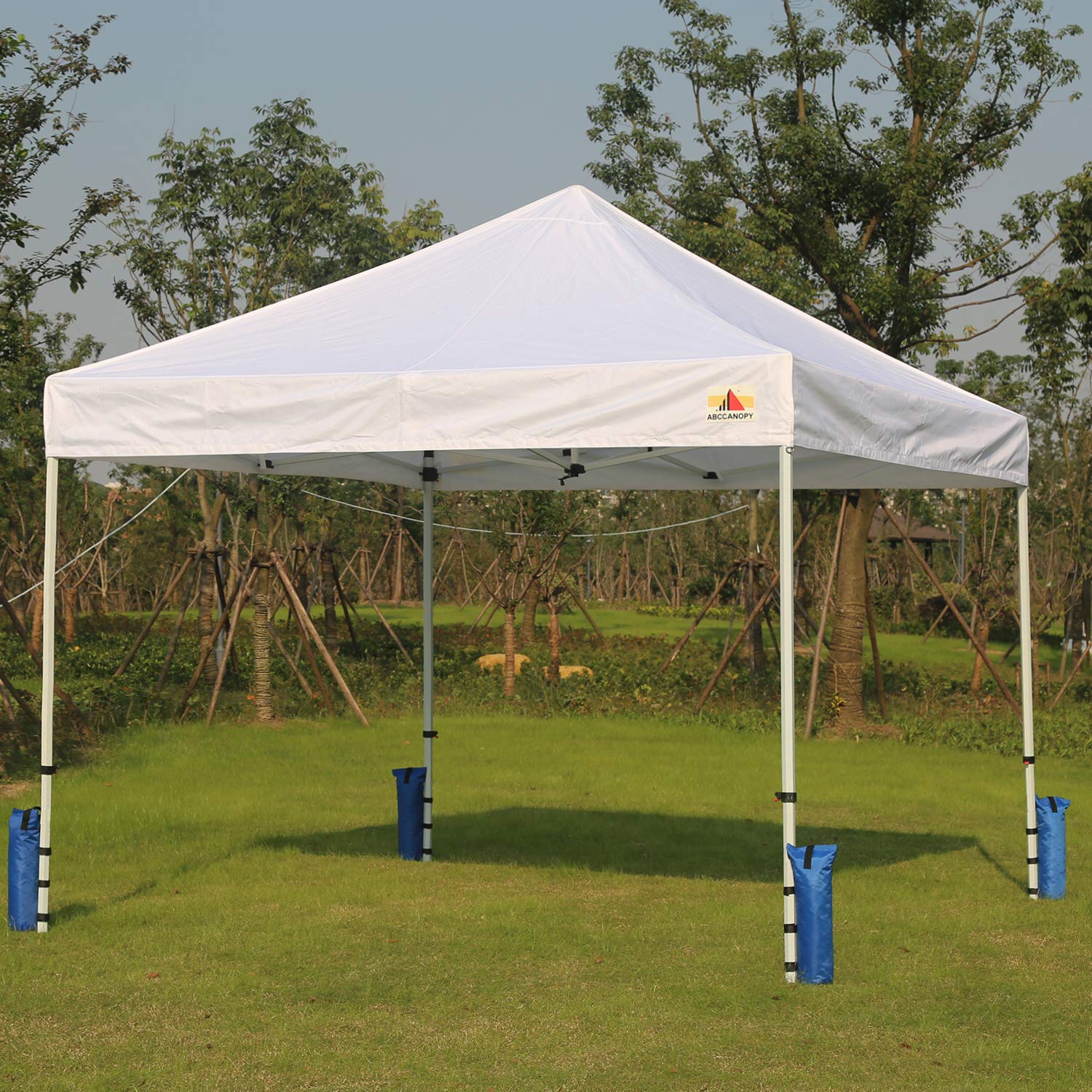 Foto 7 pulgar | Juego de Bolsas de Arena Canopy Weights Abccanopy de 4 a 51 kg Azul - Venta Internacional