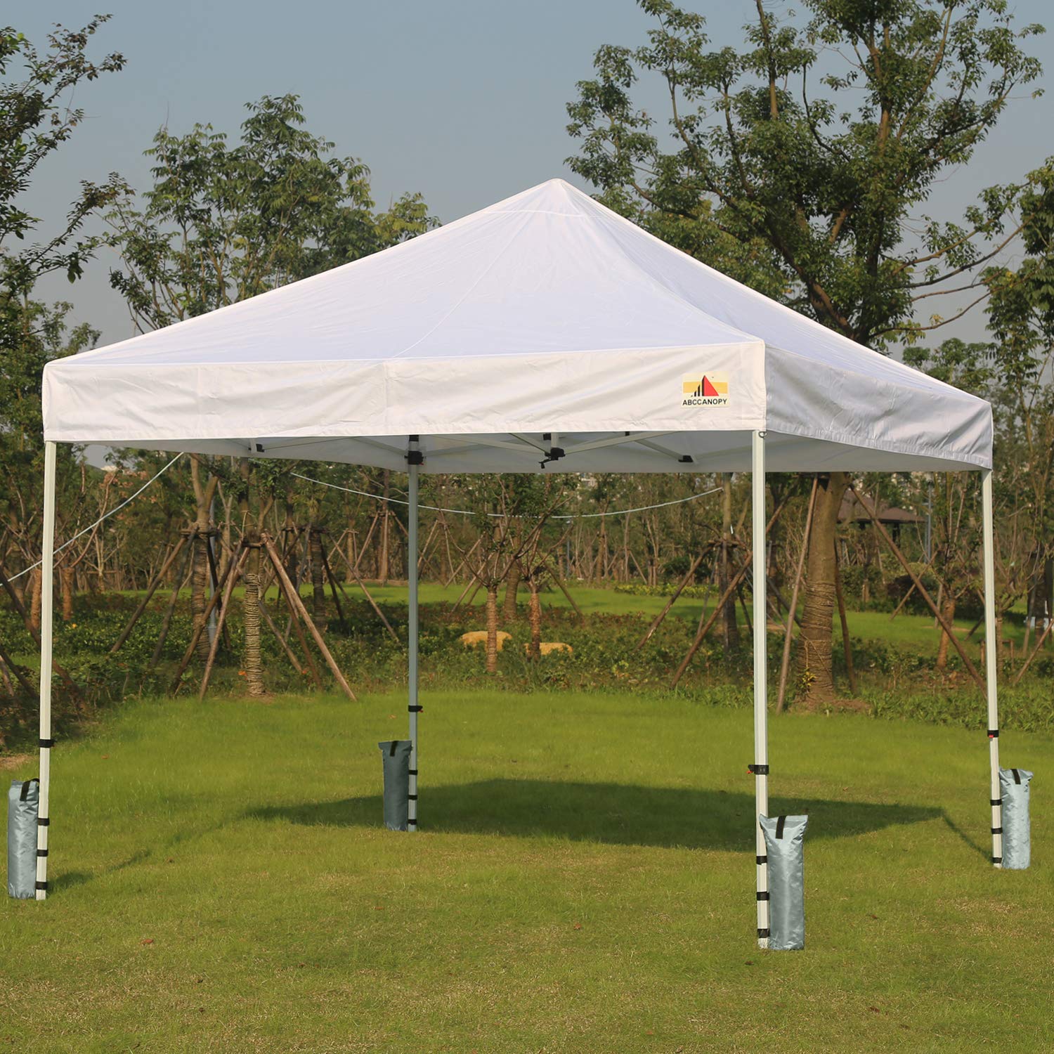 Foto 5 | Juego de Bolsas De Arena Canopy Weights Abccanopy Gris - Venta Internacional