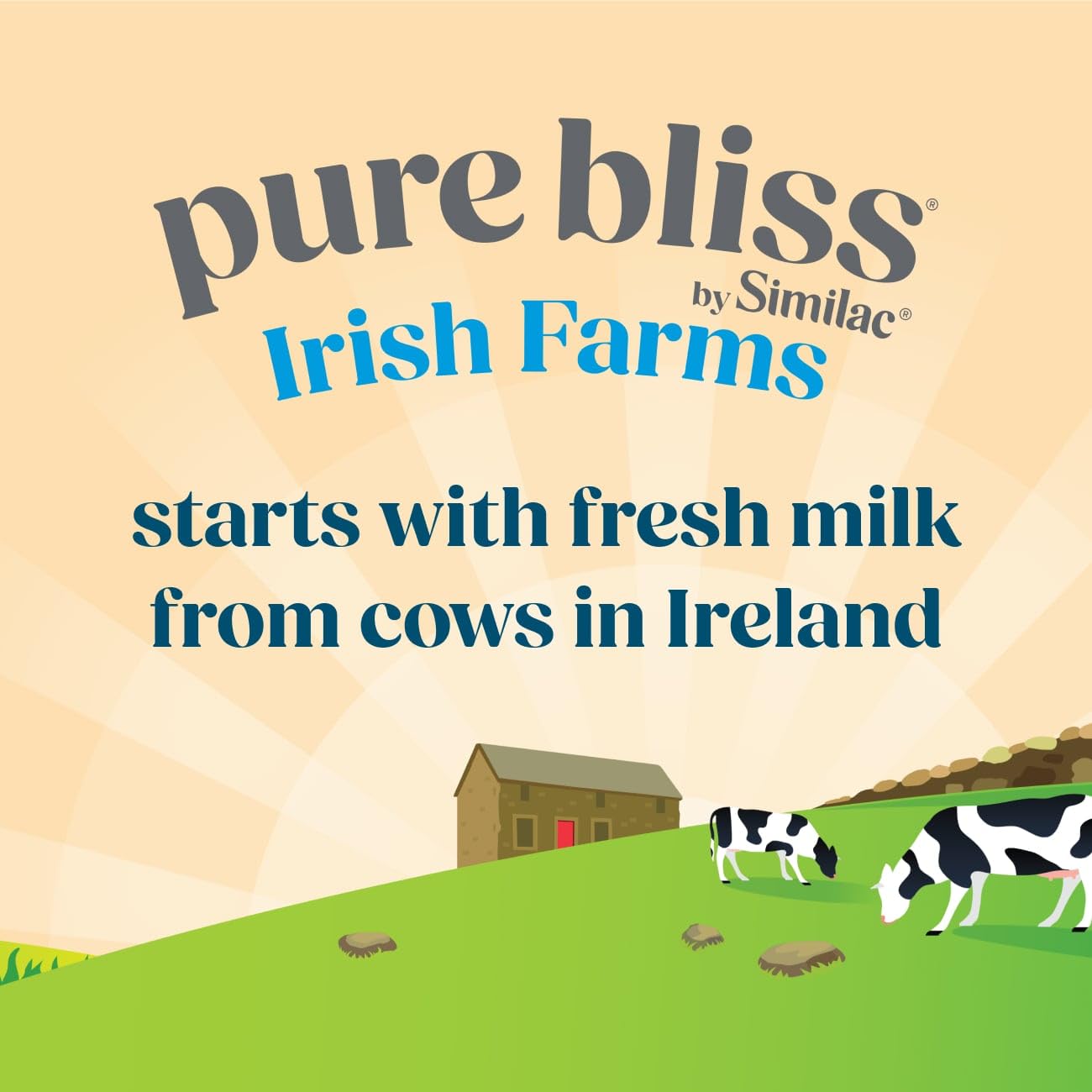 Foto 5 pulgar | Fórmula Para Bebés Similac Pure Bliss Irish Farms 700 G X 6 - Venta Internacional.