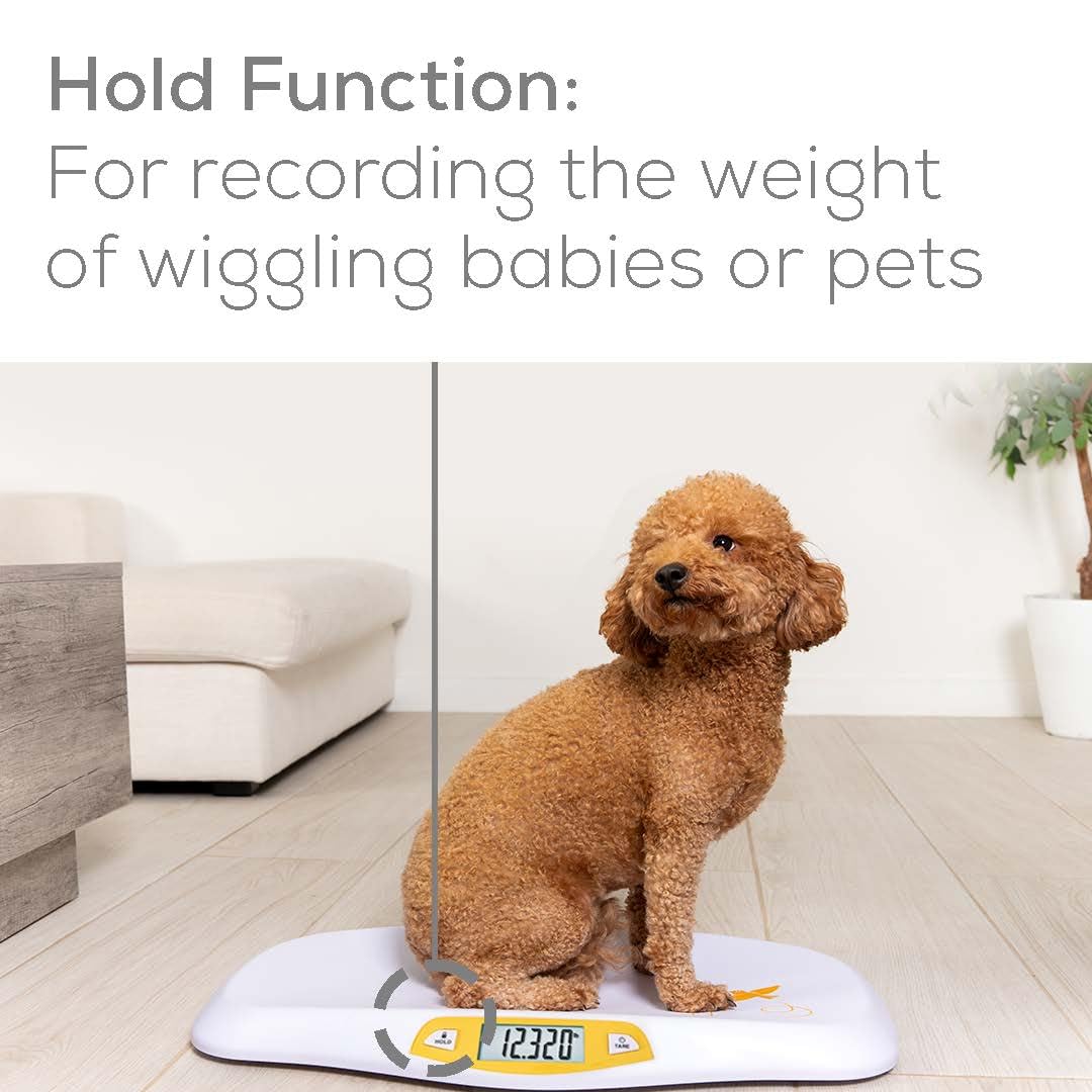 Foto 6 | Báscula Digital para Bebés Beurer By80 - Venta Internacional