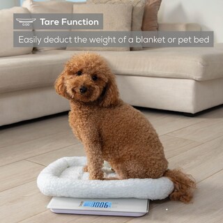 Foto 3 | Báscula Multifuncional Beurer By82 Para Bebés, Mascotas Y Adultos - Venta Internacional.