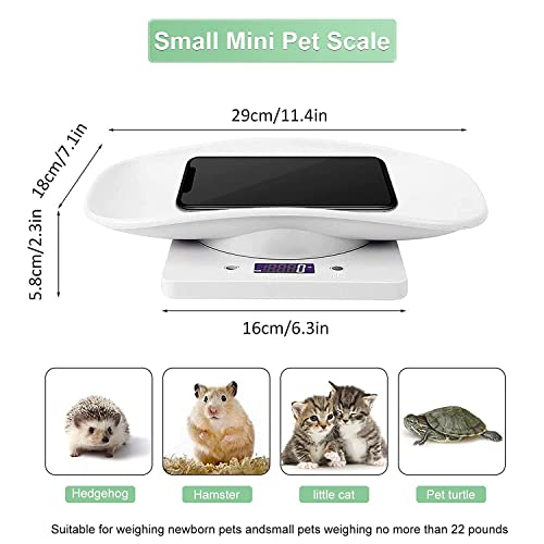 Foto 4 pulgar | Báscula Digital Para Mascotas Ytcykj, Led Multifunción, Capacidad De 10 Kg - Venta Internacional.
