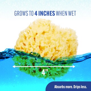 Foto 4 | Baño Sea Sponge Baby Buddy De Lana Natural Para Recién Nacidos, Paquete De 2 - Venta Internacional.